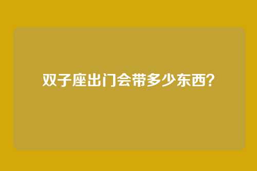 双子座出门会带多少东西?
