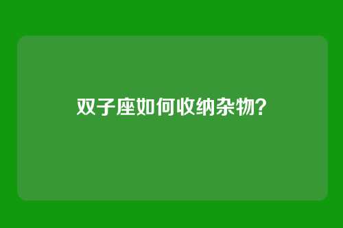 双子座如何收纳杂物？