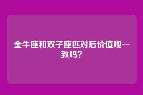 金牛座和双子座匹对后价值观一致吗？