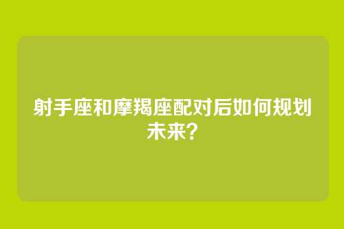 射手座和摩羯座配对后如何规划未来？