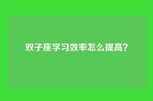 双子座学习效率怎么提高？