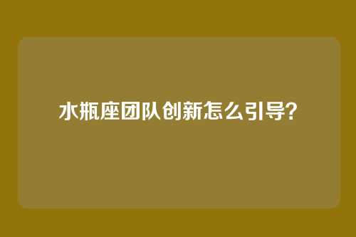 水瓶座团队创新怎么引导？