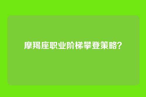 摩羯座职业阶梯攀登策略？