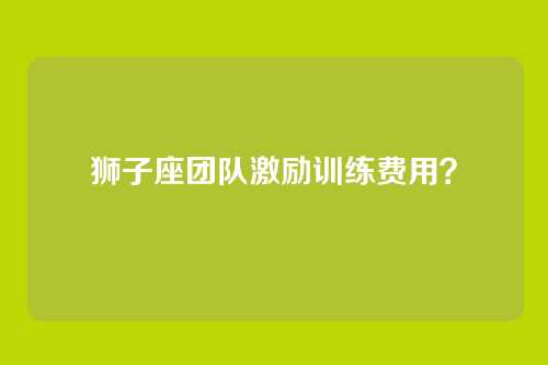 狮子座团队激励训练费用？