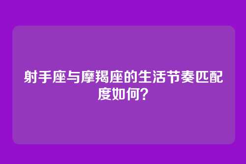 射手座与摩羯座的生活节奏匹配度如何？