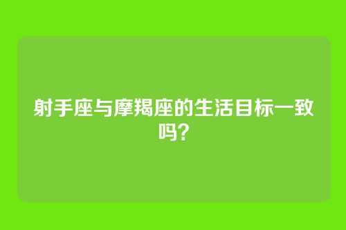 射手座与摩羯座的生活目标一致吗？