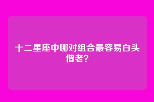 十二星座中哪对组合最容易白头偕老？
