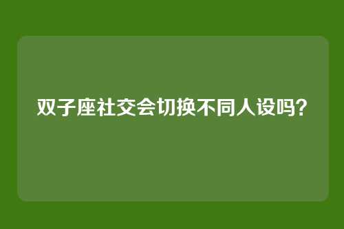 双子座社交会切换不同人设吗?