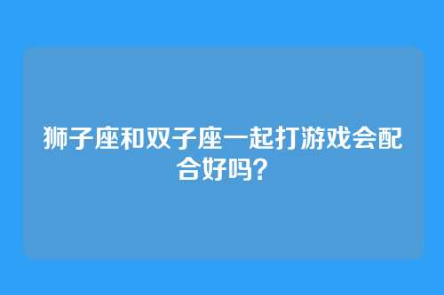 狮子座和双子座一起打游戏会配合好吗？