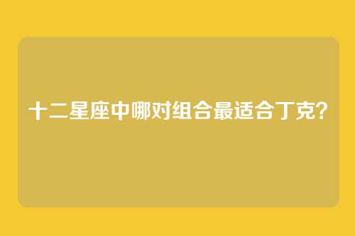 十二星座中哪对组合最适合丁克？