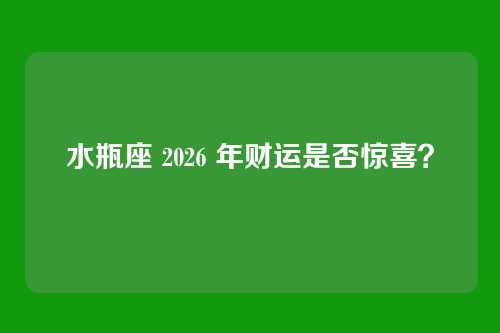 水瓶座 2026 年财运是否惊喜？