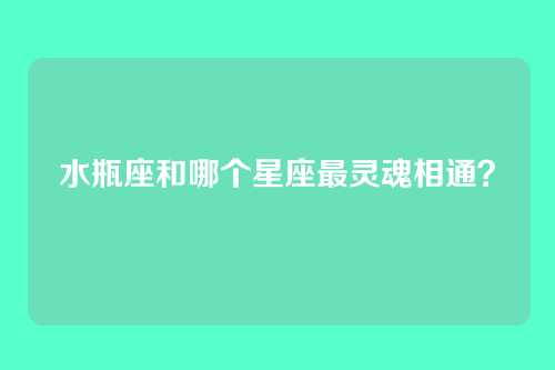 水瓶座和哪个星座最灵魂相通？