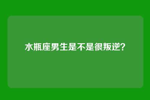 水瓶座男生是不是很叛逆？