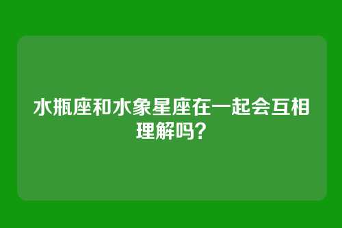 水瓶座和水象星座在一起会互相理解吗？