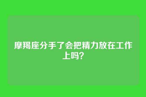 摩羯座分手了会把精力放在工作上吗？