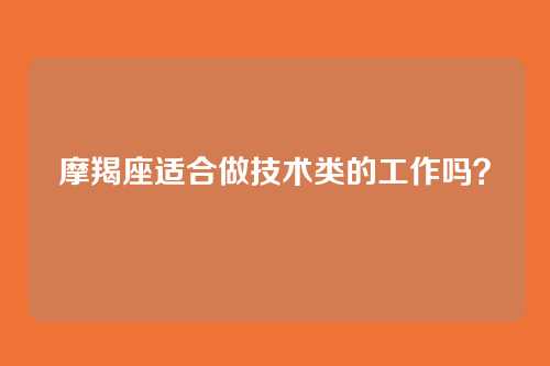 摩羯座适合做技术类的工作吗？