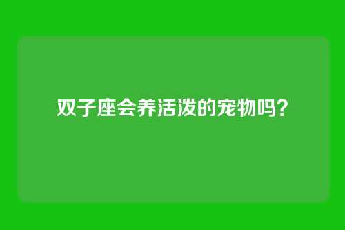 双子座会养活泼的宠物吗？