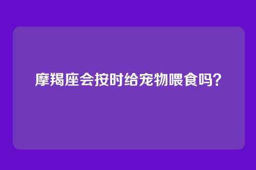 摩羯座会按时给宠物喂食吗？