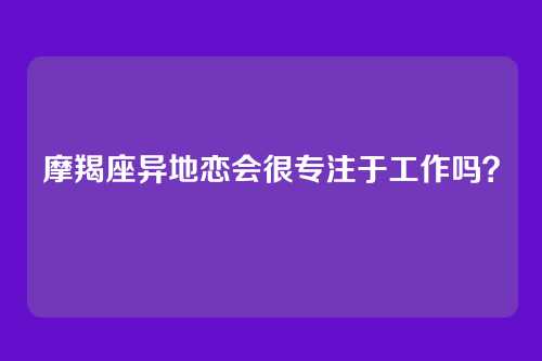 摩羯座异地恋会很专注于工作吗?
