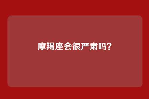 摩羯座会很严肃吗？