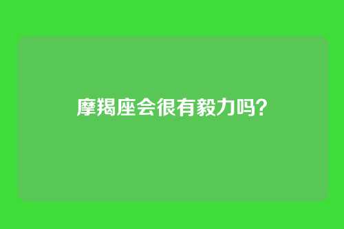 摩羯座会很有毅力吗？