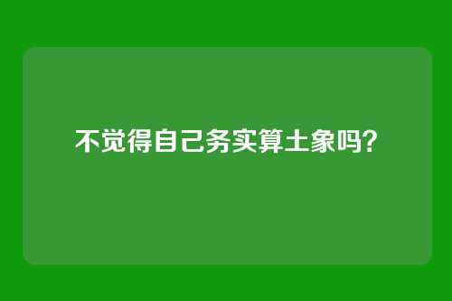 不觉得自己务实算土象吗？