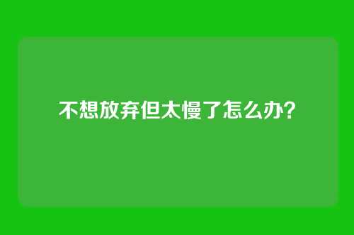 不想放弃但太慢了怎么办？