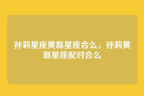 孙莉星座黄磊星座合么，孙莉黄磊星座配对合么