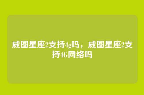 威图星座2支持4g吗,威图星座2支持4G网络吗