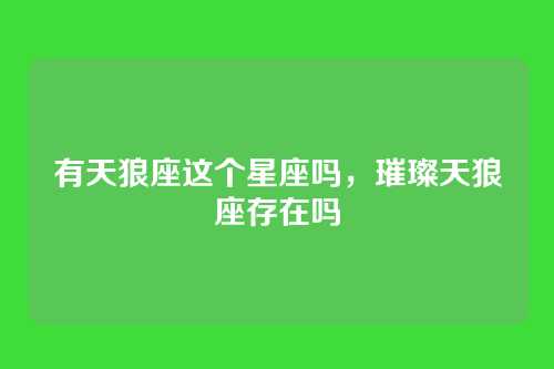 有天狼座这个星座吗,璀璨天狼座存在吗